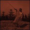 Unknown Mortal Orchestra - II (LP)