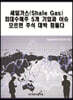 셰일가스(Shale Gas) 최대수혜주 5개 기업과 이슈 모르면 주식 대박 힘들다