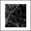 Masato Minami  - The Tropics (Limited Edition)