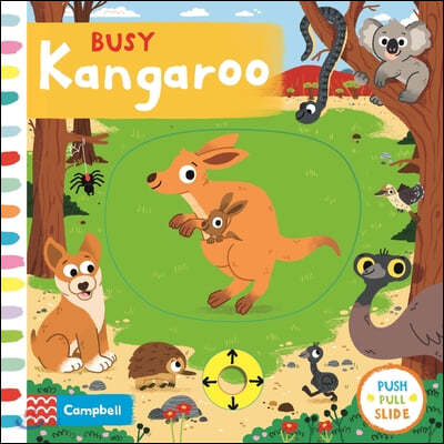 Busy Kangaroo