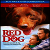 Red Dog (레드독) (한글무자막)(Blu-ray+DVD Combo)
