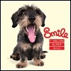 T-Square Super Band - Smile