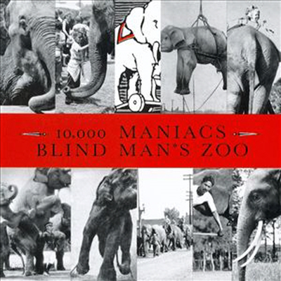 10,000 Maniacs - Blind Man&#39;s Zoo (CD-R)
