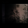 Azita - Disturbing The Air (LP+CD)