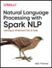 Natural Language Processing with Spark Nlp: Learning to Understand Text at Scale