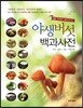 야생 버섯 백과사전