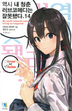 역시 내 청춘 러브코메디는 잘못됐다 14