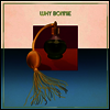 Why Bonnie - Voice Box (LP)