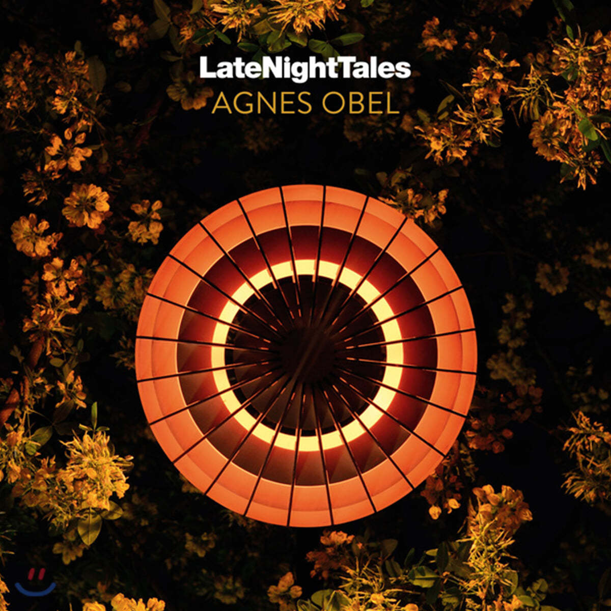 Night Time Stories 레이블 컴필레이션 앨범: 아그네스 오벨 (Late Night Tales: Agnes Obel)