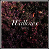 Wallows - Spring (Green & Pink LP)