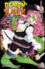 Demon Slayer: Kimetsu No Yaiba, Vol. 14