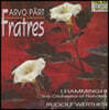 Rudolf Werthen 아르보 패르트: 프라트레스 (Arvo Part: Fratres)