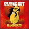 크라잉 넛 (Crying Nut) 7집 - Flaming Nuts