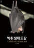 박쥐 생태 도감