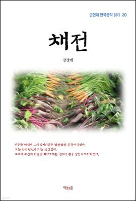 강경애 채전 (근현대 한국문학 읽기 20)