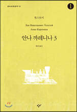 안나 까레니나 3-1 (큰글자도서)