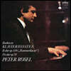 Peter Rosel 베토벤: 피아노 소나타 24, 29번 '함머클라비어' (Beethoven: Piano Sonatas Op. 78, 106 'Hammerklavier')