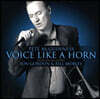 Pete McGuinness (피트 맥기네스) - Voice Like A Horn