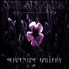 Switchblade Symphony - Serpentine Gallery (LP)