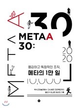 메타30 METAA30