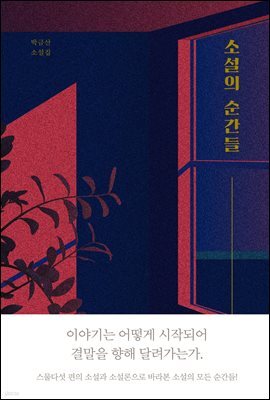 소설의 순간들