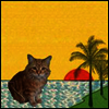 Best Coast - Crazy For You (LP)
