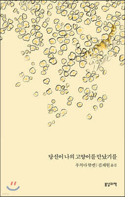 당신이 나의 고양이를 만났기를