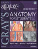 Gray’s 해부학