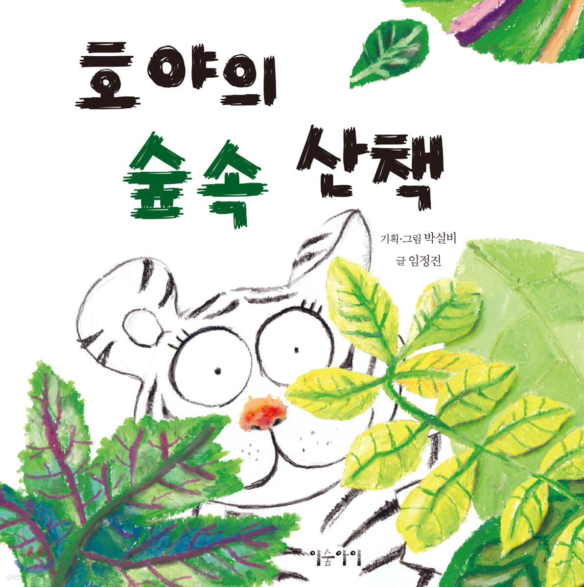 호야의 숲속 산책