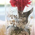 카네이션 유리돔 무드등 + 쇼핑백