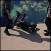 Local Natives - Hummingbird (LP)