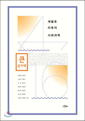세월호 이후의 사회과학 (큰글자책)