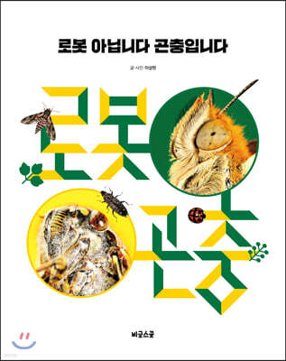 로봇 아닙니다 곤충입니다
