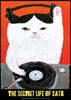 The Secret Life of Cats Notebook Collection