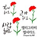 캘리그라피카드 카네이션꽃 감사 미니 엽서 편지 카드