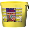 트로피칼 본사 - D50 플러스 Bucket 5L / 1kg 색상강화, 산란촉진 유통기한 : 2029.02