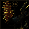 16 - Dream Squasher (LP)