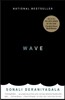 Wave: A Memoir