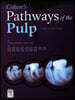 Pathways of the Pulp