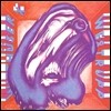 Witthuser & Westrupp - Trips & Traume