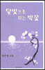 달빛으로 피는 박꽃