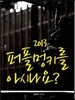 2013 퍼플멍키를 아시나요?