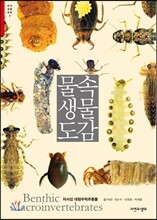 물속 생물 도감