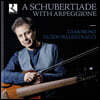 Guido Balestracci 아르페지오네로 연주하는 슈베르트 (A Schubertiade with Arpeggione)