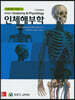 기초의학 시리즈 인체해부학
