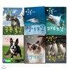 아이의 눈높이에 맞춘 개도감+고양이도감+고래도감+상어도감+펭귄도감+공룡도감 세트/전6권/딩동 도감시리즈
