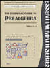 The Essential Guide to PREALGEBRA