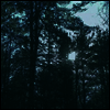 Ashbringer - Vacant (LP)