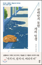 선택받지 못한 개의 일생