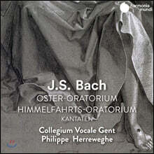Philippe Herreweghe 바흐: 부활절, 승천 오라토리오 - 필립 헤레베헤 (Bach: Oster-Oratorium. Himmelfahrts-Oratorium)